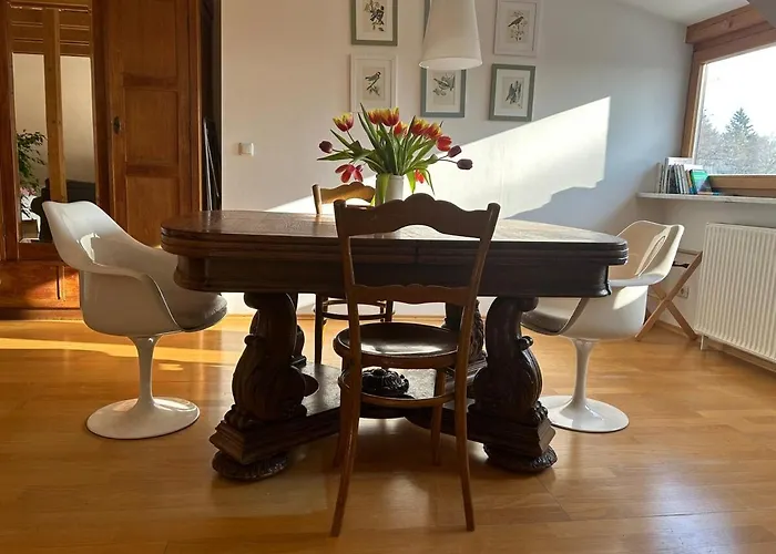 Grosse Wohnung Mit Dachterrasse In Starnberg