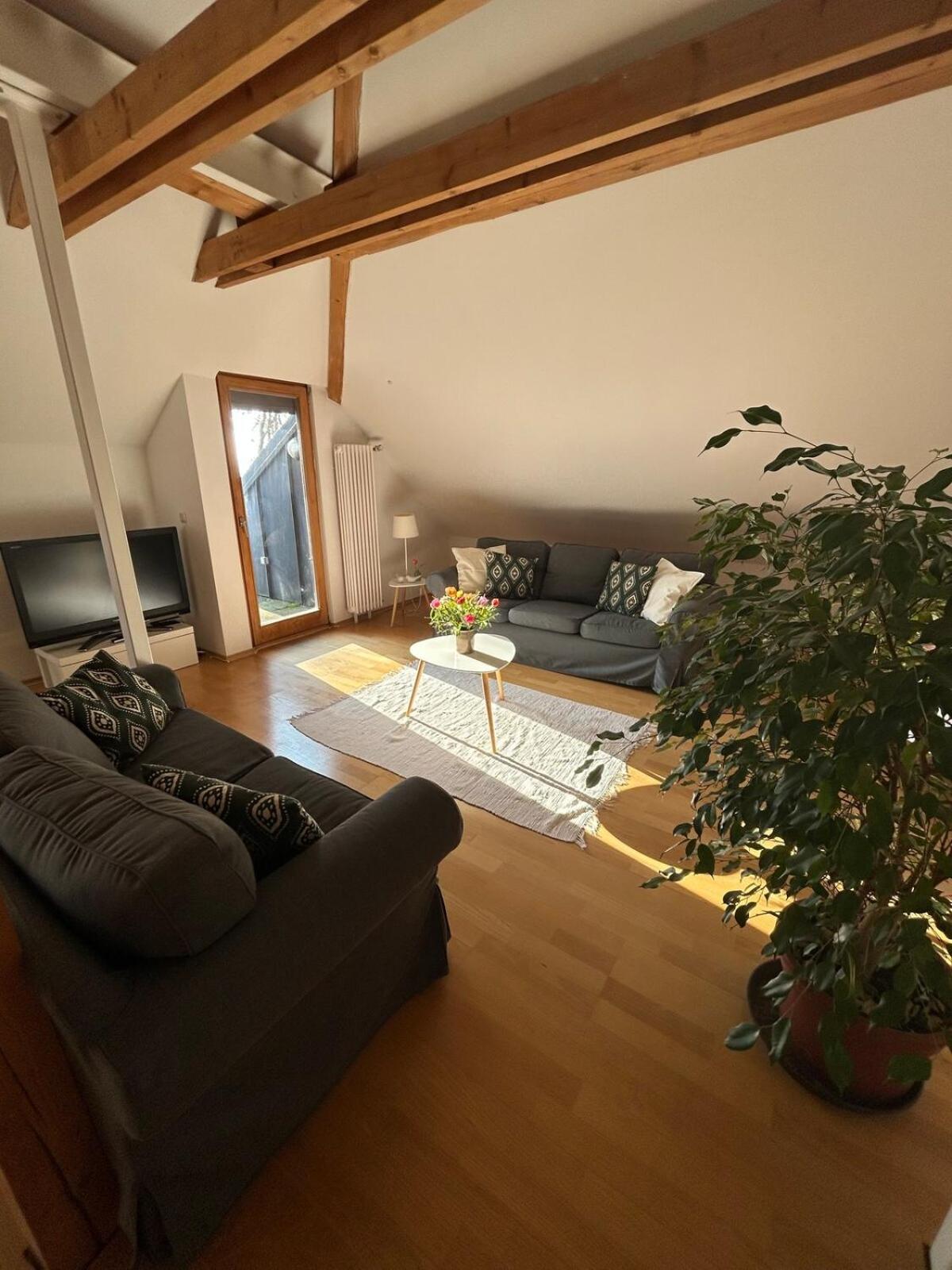Grosse Mit Dachterrasse In Apartment Starnberg