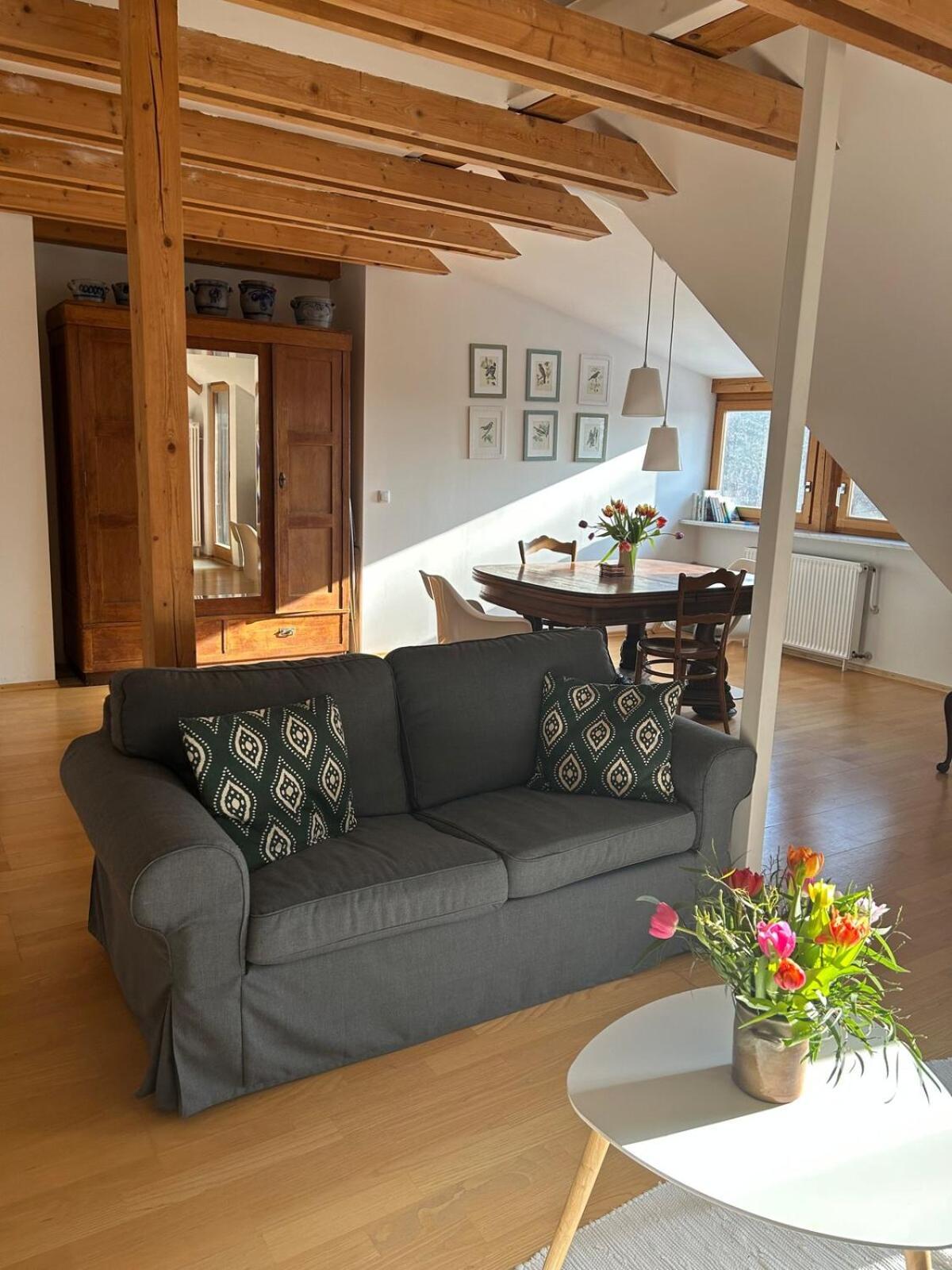 Grosse Mit Dachterrasse In Apartment